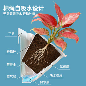 Macetas de Pared Cuadradas de Plástico Blanco, Diseño Minimalista para Jardinería Interior en Balcón, con Función de Absorción de Agua - Product Image 3