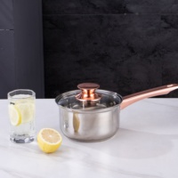 Ensemble de casseroles et poêles en acier inoxydable écoresponsable minimaliste 5 pièces avec couvercles en verre trempé, compatible gaz et induction