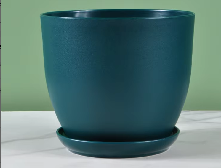 vert noirâtre c100
