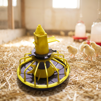Système d'alimentation automatique pour l'élevage avicole, équipement en plastique PP, garantie 1 an pour les poulets de chair