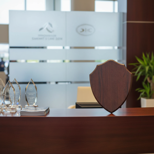 Walnut <b>Plaque</b> <b>Trophy</b> 210X260X15mm Acrylic Wood and Crystal UV Printed Award for Trade Shows and Welcoming Guests - Product Image 3