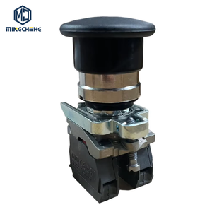 Heavy Duty Industrial Control <b>Switch</b> XB4BC25 and XB4BC25E for Factory Automation and Machinery Panel - Product Image 1