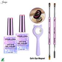 Kit de vernis gel effet œil de chat pailleté en promotion avec 2 pinceaux double embout et 1 baguette magnétique pour techniciennes ongulaires