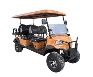 Hot Sale Gas Golf Cart 6 Passenger Gasoline Powered Golf Cart Buggy