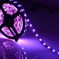 Bande LED Flexible Super Lumineuse Blanc Chaud 240 LED Intelligente RGB 5V, Bande LED Pixel Adressable RGB Extérieure Étanche