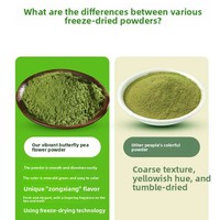 Poudre d'extrait de feuille de Pandan biologique de Hainan, colorée, lyophilisée, soluble dans l'eau, matière première naturelle pour la pâtisserie aux fruits et légumes