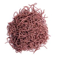 Vente en gros de leurre de pêche au ver de terre souple de 8cm Simulation d'appât souple rouge réaliste artificiel