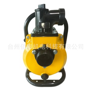Centrifugal <b>Pump</b> 1 Hp Dc Motor 1 In Flange Connection 7 M <b>Suction</b> Head For Agricultural And Household Use - Product Image 4