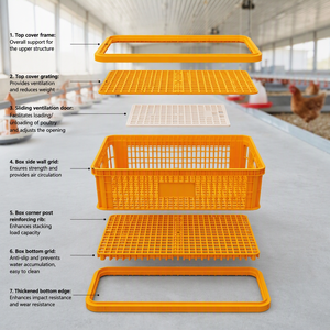 Nouvelle Caisse de Transport pour Poussins Grande Capacité, Ventilée, en PE, pour Écloserie - Product Image 6