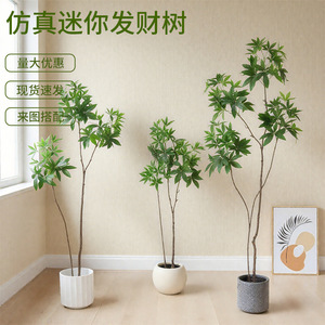Arbre à Monnaie Artificiel Dream Castle 100cm-200cm, Plante d'Intérieur en Soie Plastique, Décoration de Sol Style Bonsaï - Product Image 5