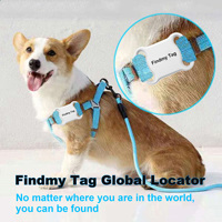 Longue durée de veille lumières scintillement Mini technologie GPS Tracker chien chiot chat collier GPS Tracker