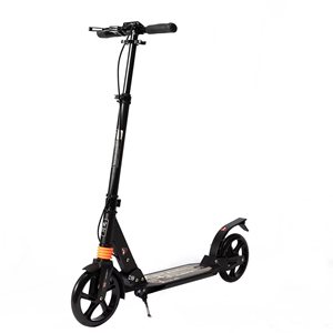 Trottinette pliable pour adolescents et adultes, réglable en hauteur, avec deux roues, design pliable - Product Image 1