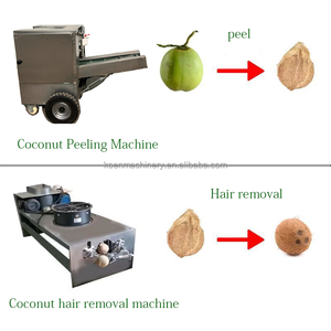 เครื่องผลิตกะทิสายการผลิตกะทิเครื่องผลิตกะทิจาก hulling ไปยังกระป๋องน้ำผลไม้ - Product Image 3