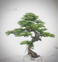 Grüner Willkommens-Kiefernbaum für Garten Außen- und Innendekoration Künstliche Kiefern im Chinesischen Stil