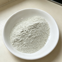 Poudre de zéolite clinoptilolite naturelle de haute pureté, blanc cassé, 600 mesh, pour l'aquaculture/l'agriculture, l'alimentation animale, la litière pour animaux de compagnie, désodorisant, 1 kg MOQ