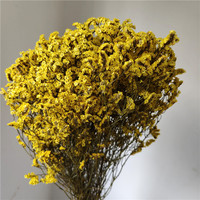 Geconserveerde bloemen Eeuwigdurend Limonium (Kristalgras) Arrangement Bloemboeket DIY Bruiloft Valentijnsdag Moederdag Kerstmis Huis