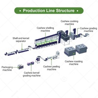 Ligne de production complète de traitement des noix de cajou en Chine, tri, récolte, traitement des noix, machine à décortiquer