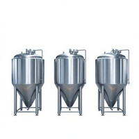 Cuve de Fermentation Conique en Acier Inoxydable HG 100L/500L pour Bière et Vin, Pompe Contrôlée par PLC Incluse, 220/380V, Facile à Utiliser