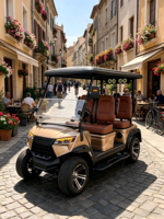 Fabricant direct de voiturettes de golf électriques et de buggies de golf, recherche d'agents pour le transport en zone touristique sur routes non publiques, DOT CE EEC