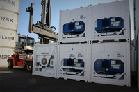 Thermo King 40ft Gekoelde Container -18 ℃ ~-40 ℃ Reefer Container Vers Fruit Groente Transport In Shanghai Port Te Koop