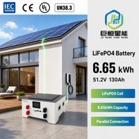 Batterie de stockage d'énergie domestique LiFePO4 51,2 V 130 Ah 6,6 kWh pour système solaire hors réseau, BMS intelligent, application Bluetooth, montage mural, OEM ODM