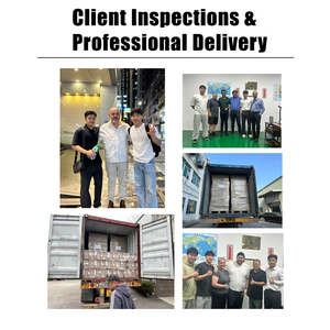 Venta Directa de Fábrica, Bandeja Desechable para Arena de Gato, Fabricada con Pulpa Moldeada Reciclada, para Uso Doméstico, a Prueba de Fugas - Product Image 4