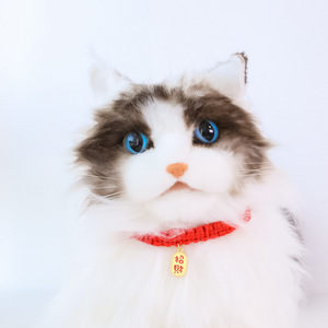 Chinesisches Neujahr Haustier Zubehör Rote Schnur Lucky Fortune Bell Kätzchen Hund Halskette Nettes Katzen halsband - Product Image 3