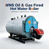 Chaudière à eau chaude industrielle horizontale automatique à gaz basse pression à haut rendement énergétique et à faibles coûts d'exploitation
