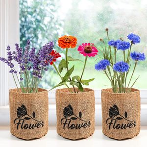 Kit di Avviamento per Giardino Indoor Daisy, Attrezzi da Giardinaggio, Sacchi per Piante, Marcatori, Dischi per Terra, Forbici, 2 Once, Prodotto in Cina, Regali per Donne e Uomini - Product Image 5