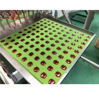 LST nouvelle conception automatique de bureau chocolat gommeux gelée bonbons durs chocolat déposant machine avec sucrier