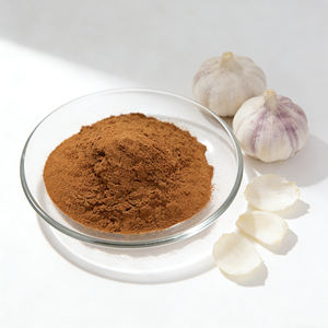 Pó de Extrato de Alho a Granel, Extrato Puro de Alho 10:1 20:1 30:1, Pó de Aliina, Pó de Extrato de Alho Envelhecido - Product Image 2