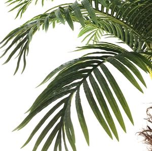 230/300 سنتيمتر عالية كواي شجرة النخيل البلاستيك في الهواء الطلق رخيصة الاستوائية الاصطناعي هاواي بلام شجرة - Product Image 4