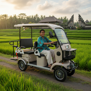 Véhicule électrique à quatre roues HLD OEM de 40km d'autonomie, 6 personnes, capacité passager, <span class=keywords><strong>mini</strong></span> quadricycle électrique avec moteur de 800W - Product Image 5