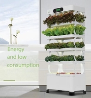 Armoire de culture hydroponique intelligente pour légumes, petite machine de plantation d'intérieur avec système d'arrosage, dispositif de culture de légumes sans terre pour balcon