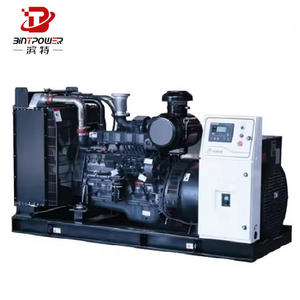 BINTPOWER Standby power 100Kw 1400Kw 250Kw generatore a gas naturale/gpl/Biogas in vendita - Product Image 2