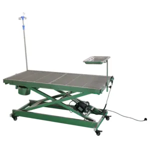 Table d'opération pour animaux domestiques, équipement médical thermostatique en acier inoxydable levage électrique chirurgicale vétérinaire pour hôpital