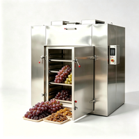Four de séchage à circulation d'air chaud pour raisins secs, machine de séchage de raisins, d'agarbatti, d'encens, d'anciavie, d'abricot, de banane, de feuille de laurier, de haricot