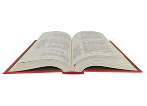 Оптовая продажа, классическая Книга в твердом переплете, размеры A4/B5/A5, изготовленный на заказ, Золотой/Серебряный край, необычный картонный продукт - Product Image 6
