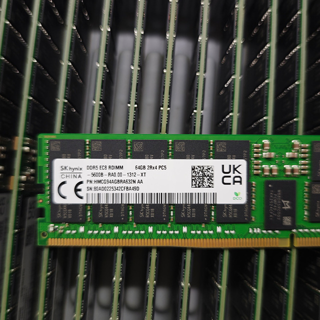 Server Storage Workstation 2RX4 PC5-5600B-RDIMM ECC Registered Server Memory Module HMCG94AGBRA632N 5600 64G