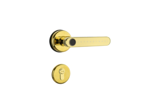 Cerradura Inteligente de Aleación de Zinc con Huella Dactilar Biométrica, Contraseña Digital, Tarjeta de Acceso y Control por Aplicación para Puertas de Madera/Acero - Product Image 3