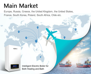 Prezzo all'ingrosso 8kw/12kw/20kw riscaldamento centralizzato elettrico altri riscaldatori domestici caldaia elettrica per riscaldamento centralizzato - Product Image 5