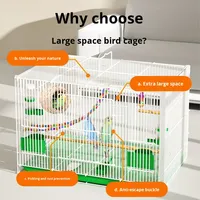 Motif solide grand Pigeon perroquet oiseau Cage bouton Collection crypté caille canard Cage pour ménage calopsitte inséparable boîte