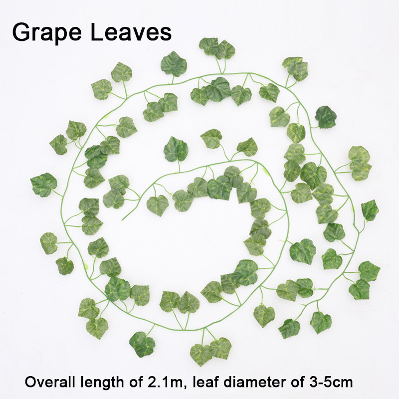 Feuilles de vigne