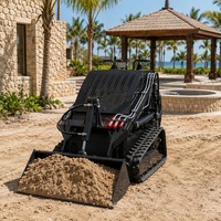 Mini Caricatore Frontale Cingolato Compatto con Altezza di Scarico 1401mm e Carico Massimo 400kg per Piccole Fattorie e Rimozione Neve