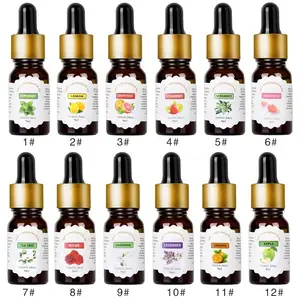 10Ml Wood Diffuser Atomizer Organic Essential Oils 6 Nojel Ultrasonic Humidifier Chip Volt Aroma Oil Bottles