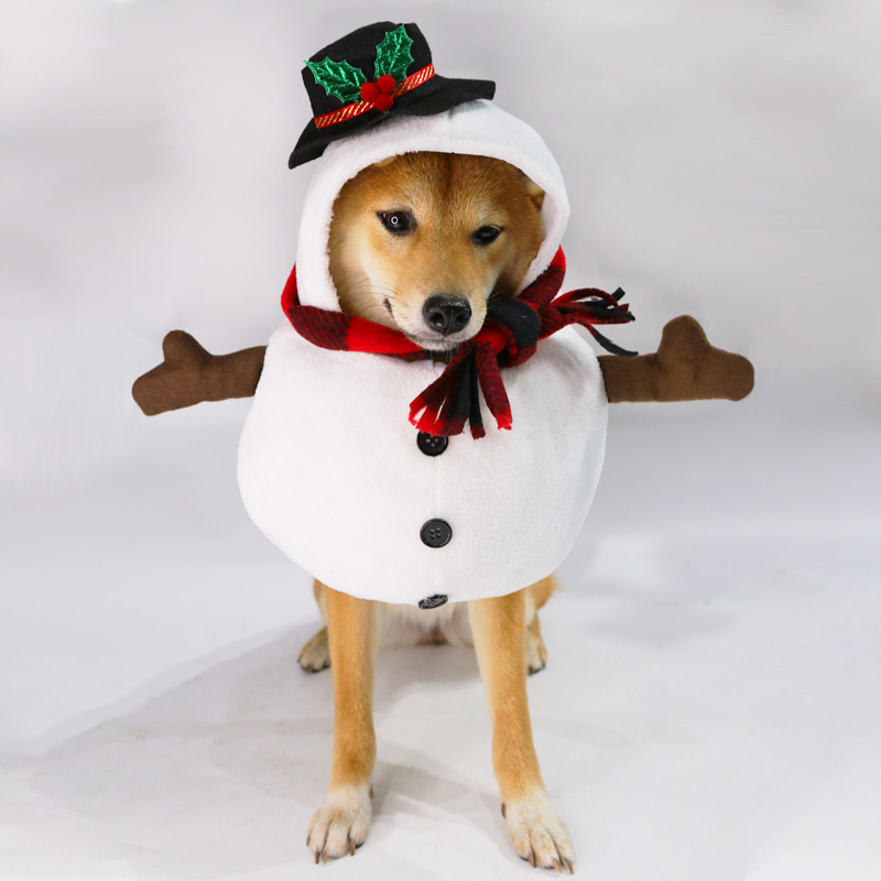 Spring-Fall Pet Fashions - Funny and Novel Costumes, Silly Stand-Up Transformations Snowman for Cats and Dogs| Alibaba.com Spring-Fall Pet Fashions - Funny and Novel Costumes, Silly Stand-Up Transformations Snowman for Cats and Dogs| Alibaba.com