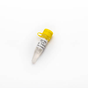 GDSbio-<span class=keywords><strong>dNTP</strong></span> Mix (sin RNase), 10mM cada uno, 0,5 ml para uso de investigación PCR R2051 - Product Image 4