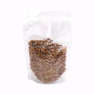 <span class=keywords><strong>Gusano</strong></span> <span class=keywords><strong>de</strong></span> <span class=keywords><strong>sangre</strong></span> seca <span class=keywords><strong>de</strong></span> buena venta <span class=keywords><strong>de</strong></span> <span class=keywords><strong>la</strong></span> mejor calidad para peces, pájaros, lagartos, animales CAMALEONES - Product Image 6