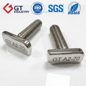 Bullone a Testa a <span class=keywords><strong>T</strong></span> Personalizzato in Acciaio Inox 316/304 DIN188 - Product Image 1