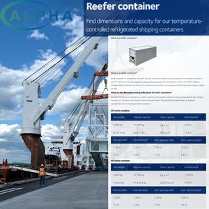 Agente de Transporte Aéreo/Marítimo Profesional para Mercancías Peligrosas y Maquinaria Delicada, con Protección Antichoque y Gran Tamaño - Product Image 6